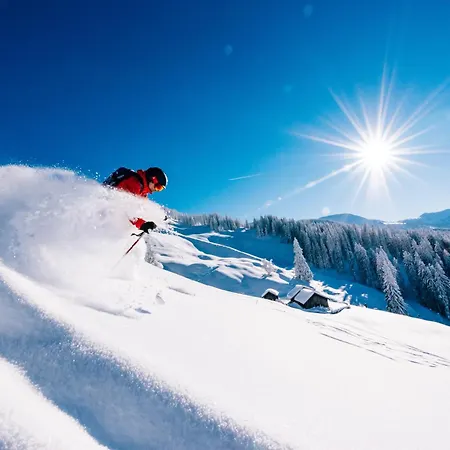 Hébergement de vacances #hostflachau1 Flachau